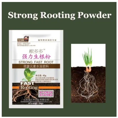 Strong Rooting Powder for Plants Rooting Hormone for Trees Flowers Plants Fast Rooting powder for Rooting Strengthening Agent