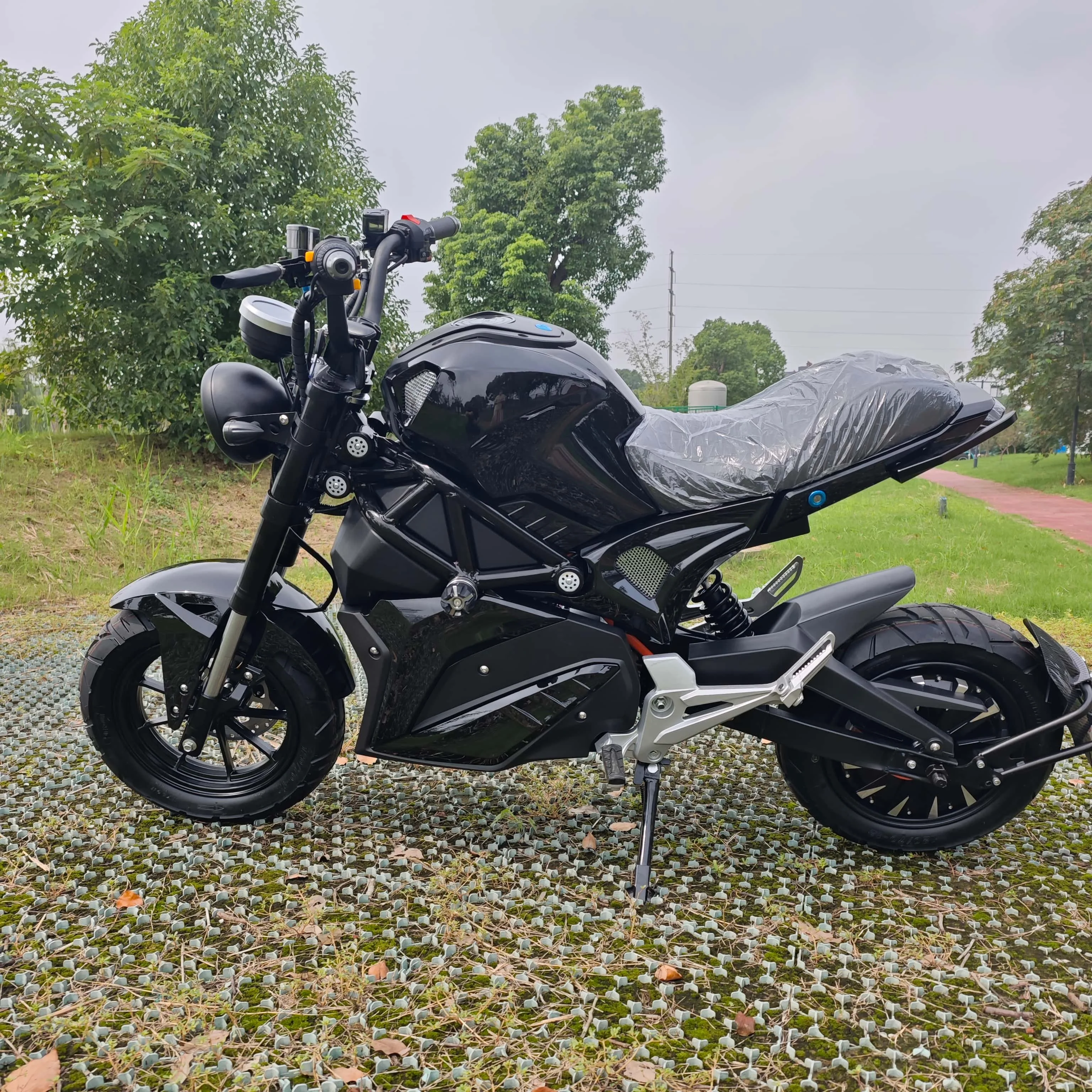 New 72V Little Monster Off-Road High-Speed Electric Motorcycle 2-Wheel Scooter 12-Inch Motor