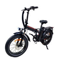 BAOLUJIE DZ-2031 Adult Electric Bicycle 500W 48V13AH E-bike 20 Inch Tires All Terrain Electric Bicycle