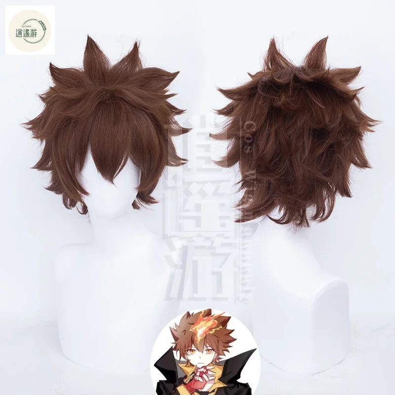 อนิเมะ katekyoo HITMAN REBORN Sakata tsunayoshi COSPLAY วิกผม30ซม. สีน้ำตาลทนความร้อนวิกผมปลอมปาร์ตี้ฮาโลวีน + ตาข่ายคลุมผมสำหรับใส่วิก