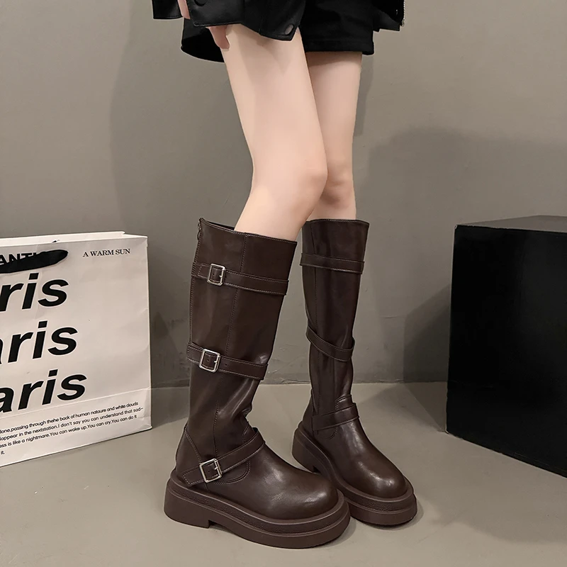Platform Women Knight Long Boots Fashion Warm Fur Shoes Autumn Winter Square Heels Ladies Knee High Booties image 4