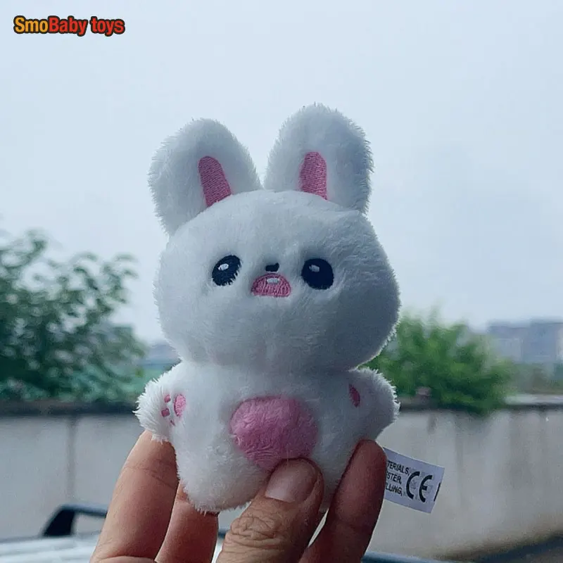 

10CM Idols WonYoung Plush Doll Keychain Cartoon Cute Rabbit Toy Filling PP Cotton Pendant Bag Accessories Keyring Fans Gift