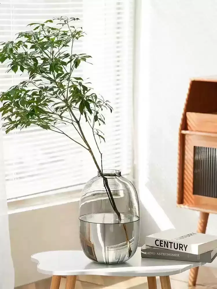 Japanese light luxury minimalist anesthesia wood hydroponic green plant vase living room flower arrangement cute big belly vase