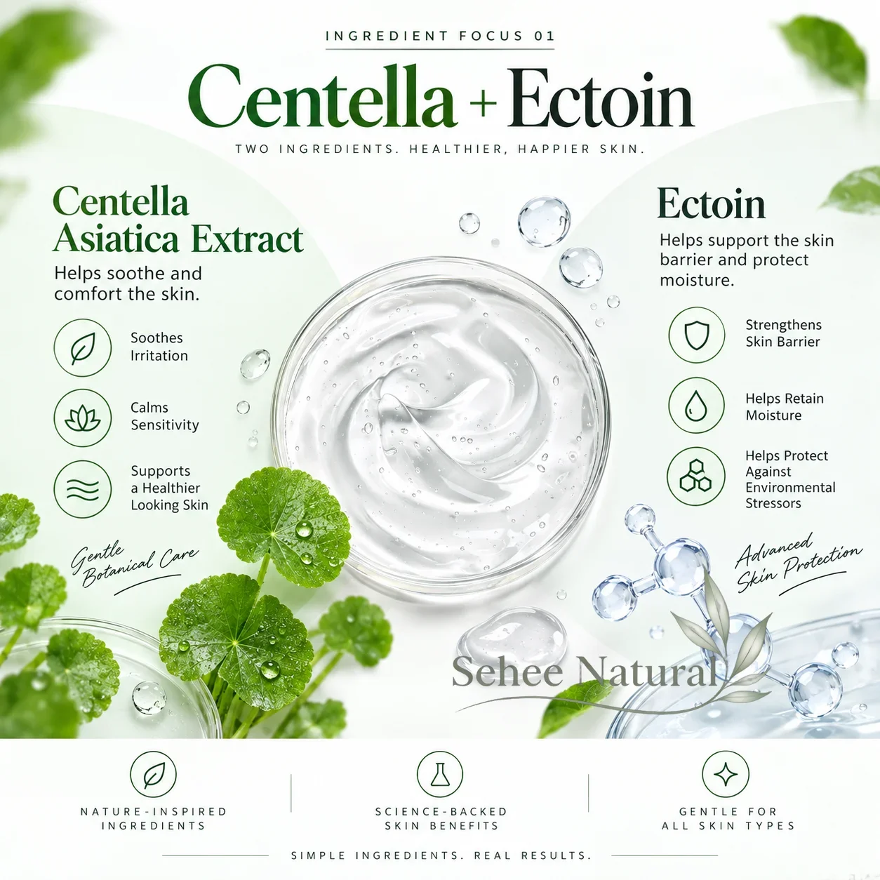 Centella Asiatica Sleeping Mask 500g No Rinse Apply Mask Hydrating Soothing Facial Skin Care for Beauty Salon