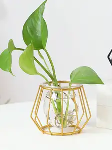 Hidroponik Kapal Pot Bunga Besi Tempa Vas Kaca Transparan Rangkaian Bunga Bunga Bordiran Dekoratif Pengaturan Emas 10 vas bunga emas penjualan terbaik - №