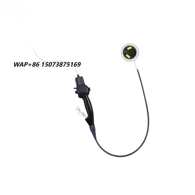 Reliable veterinary flexible electronic endoscopes are safe and efficient for the health management of small animals
