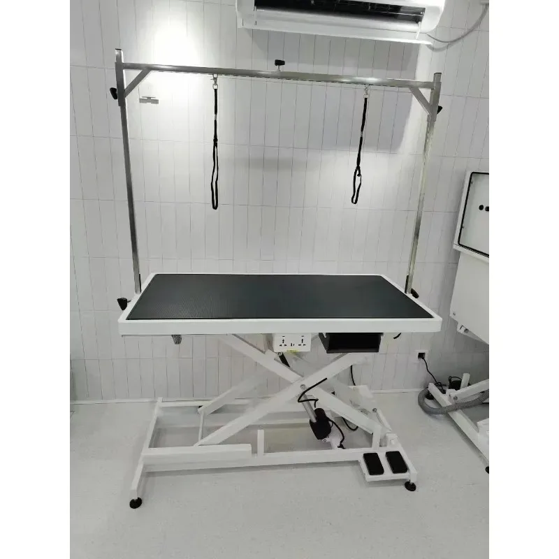 Motorized Adjustable Height Professional Pet Grooming Table Station for Dog Salon