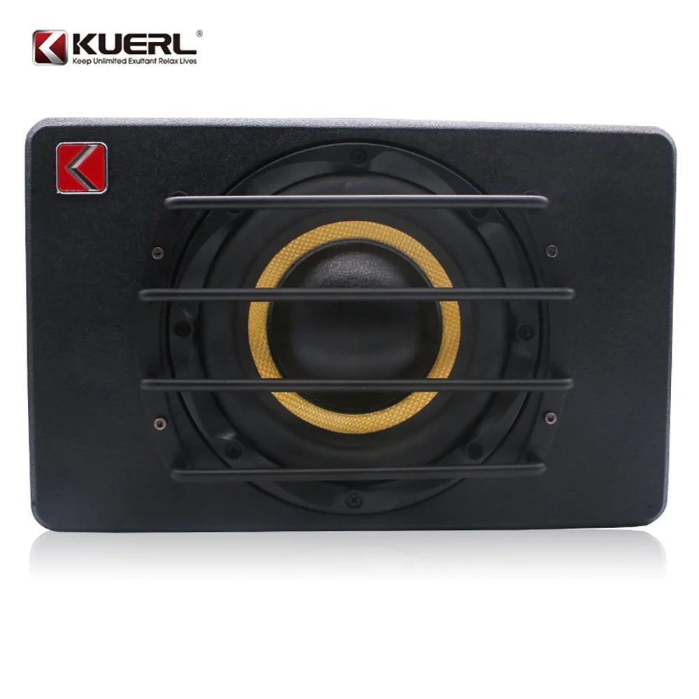 Direct Manufacturer New Style 12V Car Active Subwoofer 8 Inch Double Coil Car Audio Amplifier Subwoofer With cable bag
