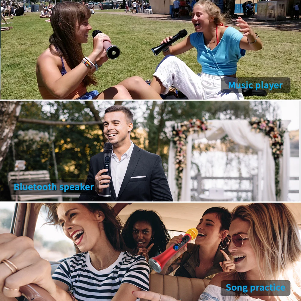 Lewinner-Micrófono de Karaoke Serie L, altavoz inalámbrico, 15-30W, portátil, Bluetooth, para teléfono, compatible con grabación, reproducción TF