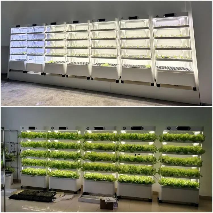 نظام مع أضواء LED للحديقة الذكية المحمولة، حديقة الأعشاب المائية الذكية الأوتوماتيكية، زراعة ذاتية السقي، زراعة داخلية #6