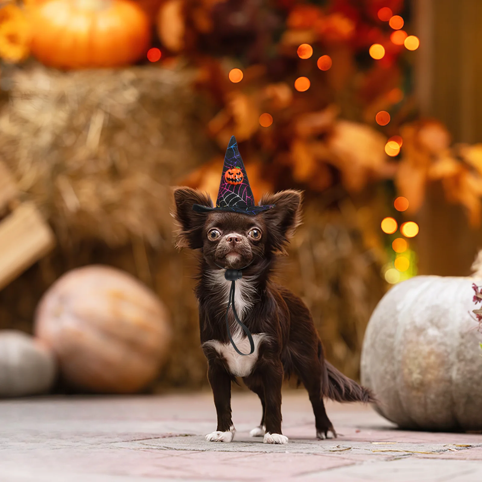 

2Pcs Halloween Pet Decorative Hat Creative Pumpkin Bat Design Soft Comfortable Cosplay Party Hat for Dogs Cats Costume