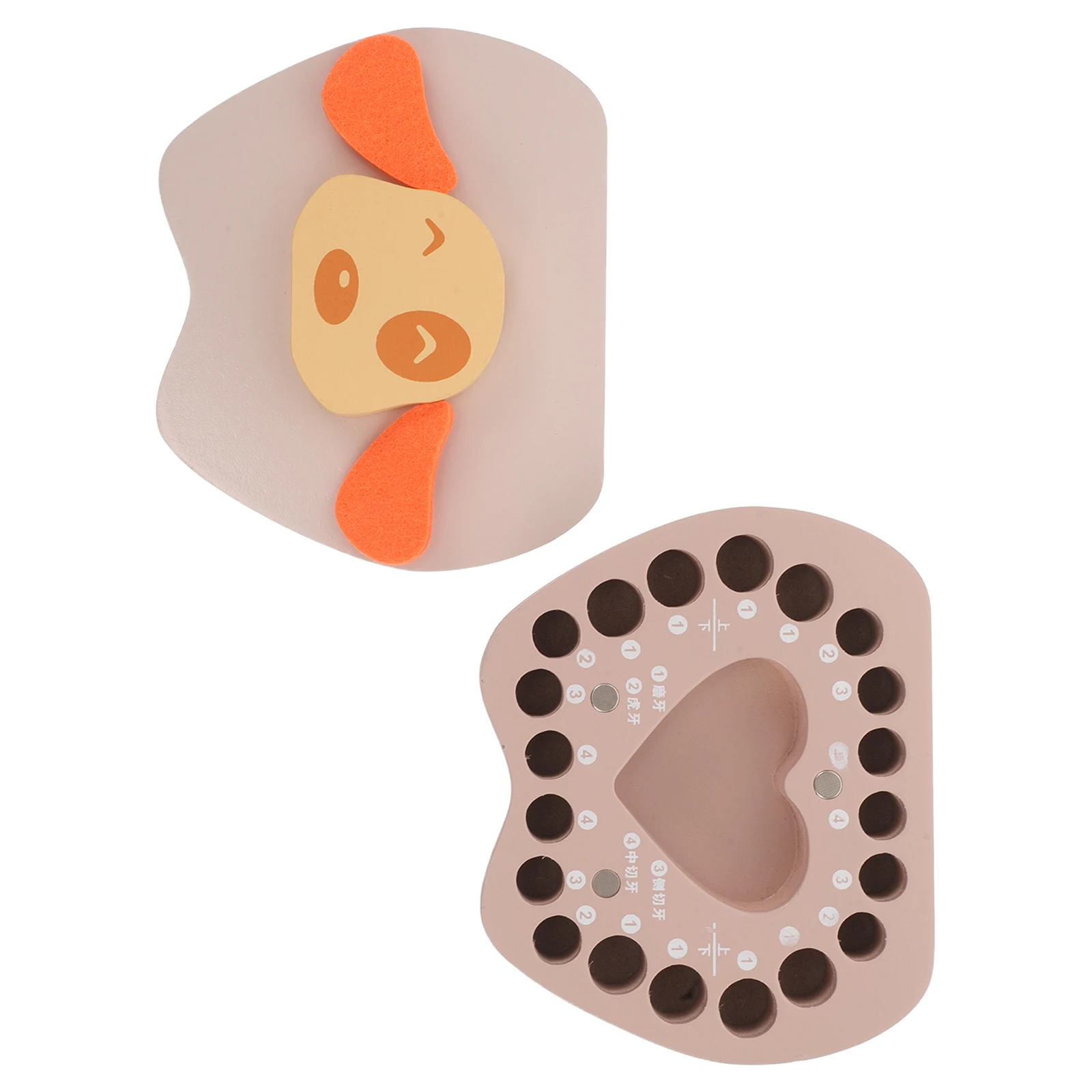 

Tooth Box Teeth Storage Holder Milk Case Fetal Hair Container Organizer Souvenir