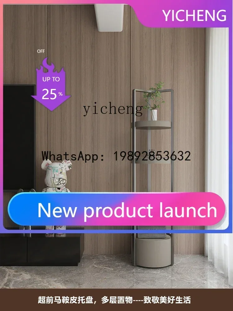 a20 Minimalist Living Room Shelf Dining Room Wine Rack Antique Curio Box Bedroom Decoration Doll Stainless Steel Display Stand