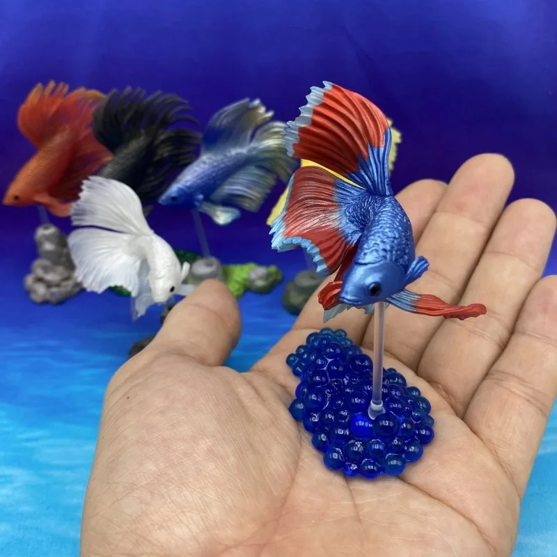 Original STASTO Japan Gashapon Figure Anime Cute Betta Fish Model Bettas Action Figurine Capsule Toys Creative Gift