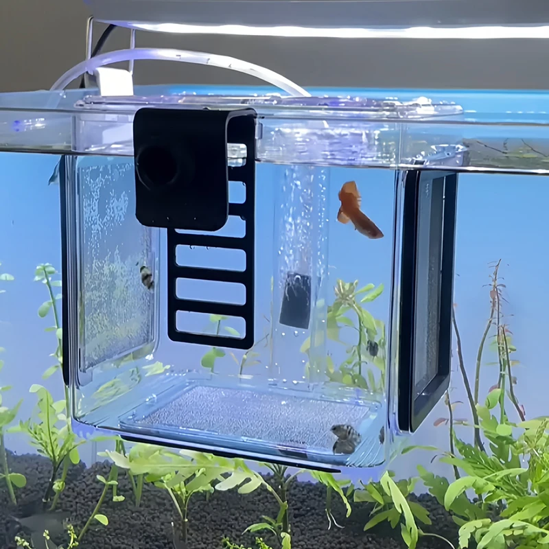 

Изолирующий бокс для аквариумных рыбок, съемный, из нержавеющей стали, с сеткой, пневматический, для инкубации и разведения, акриловый, для вылупления мальков