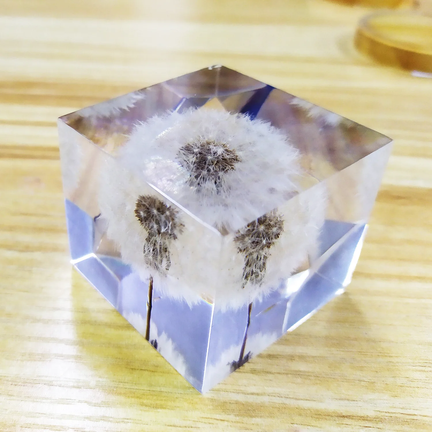 Crystal Glue Handicraft Ornaments Embedded With Dandelion Plant Specimens Immortal Flowers Maple Leaves High Transparency