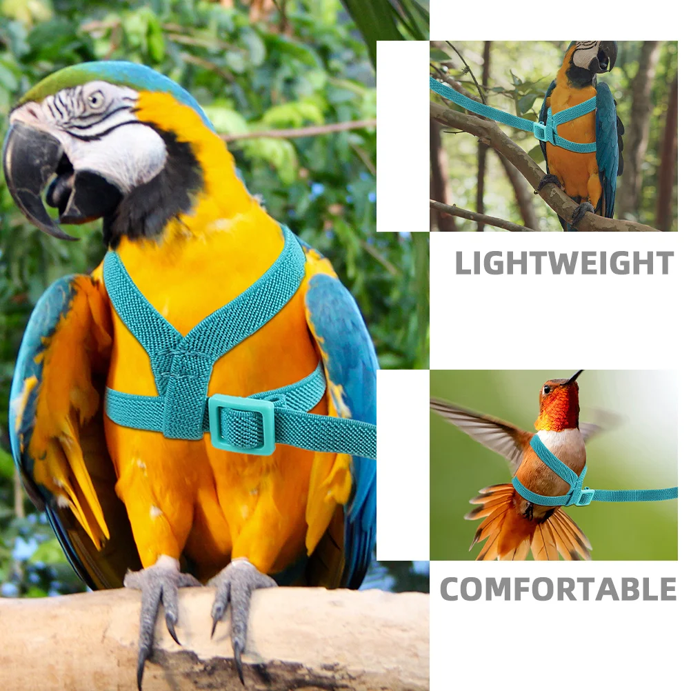 Wear-Resistant Parakeet Harness and Leash Ultralight Design for Safe Outdoor Flying Adjustable Bird Control Tool for Small