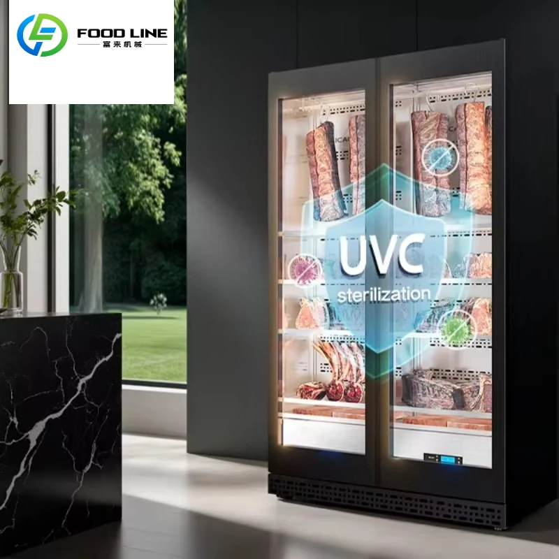 Customize Professional Custom Dry Aged Meat Refrigerator High-End Commercial Large Capacity Dry Aging Fridge with Fast Delivery