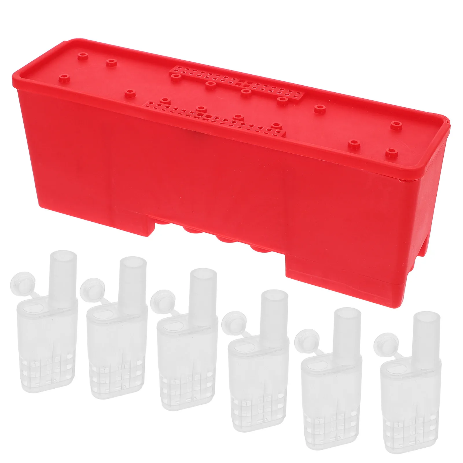 1Set Queen Rearing Tool Set Including Queen Cage Transfer Box Transport Box for Beekeeping Supplies Beekeeping Tools Rearing