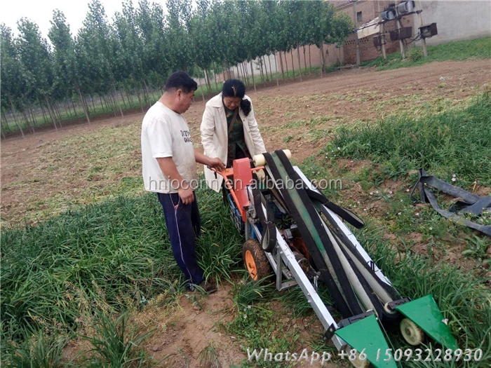 parsley rosemary  oregano scallion harvester /cilantro harvesting machine for sale