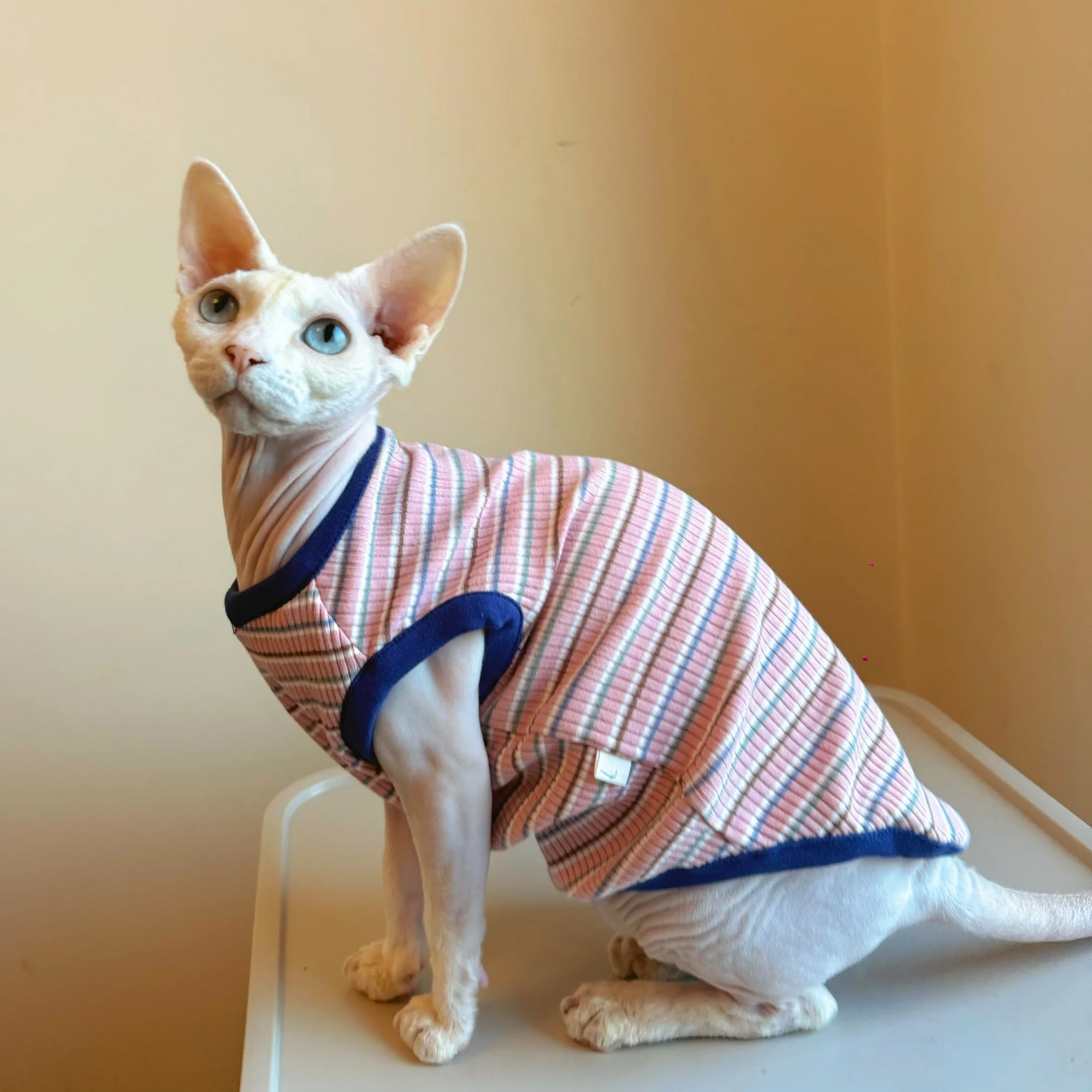 Short Sleeves Strip…