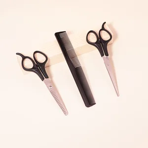 Bir çift makas, profesyonel saç ve tarak, saç stillerini kesmek için bir çift makas, inceltme saçlarını kesmek ve bir tarak-çift taraflı 8 en çok satılan, makas-çift-no. 6