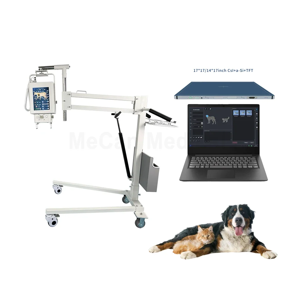 battery Professional veterinary equipment digital portable dr xray fluoroscopy veterinary dog x-ray machine