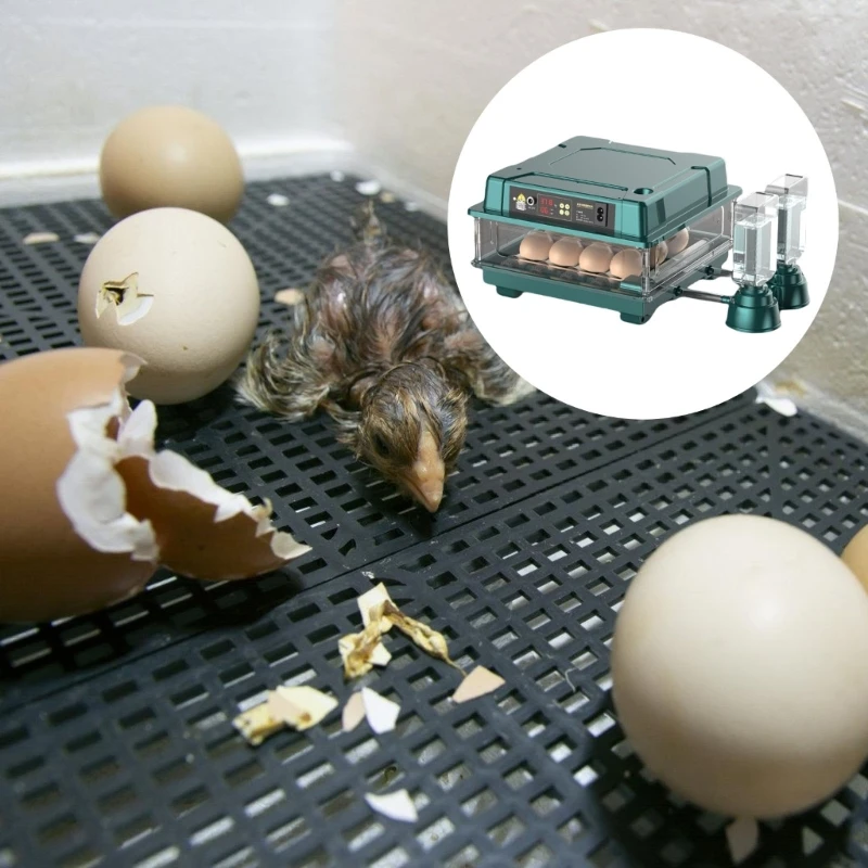

Advanced Poultry Hatching Machine Automatic Turning Incubator Motor Turn Tray Suitable for Chicken Quail and Duck Eggs D5BD