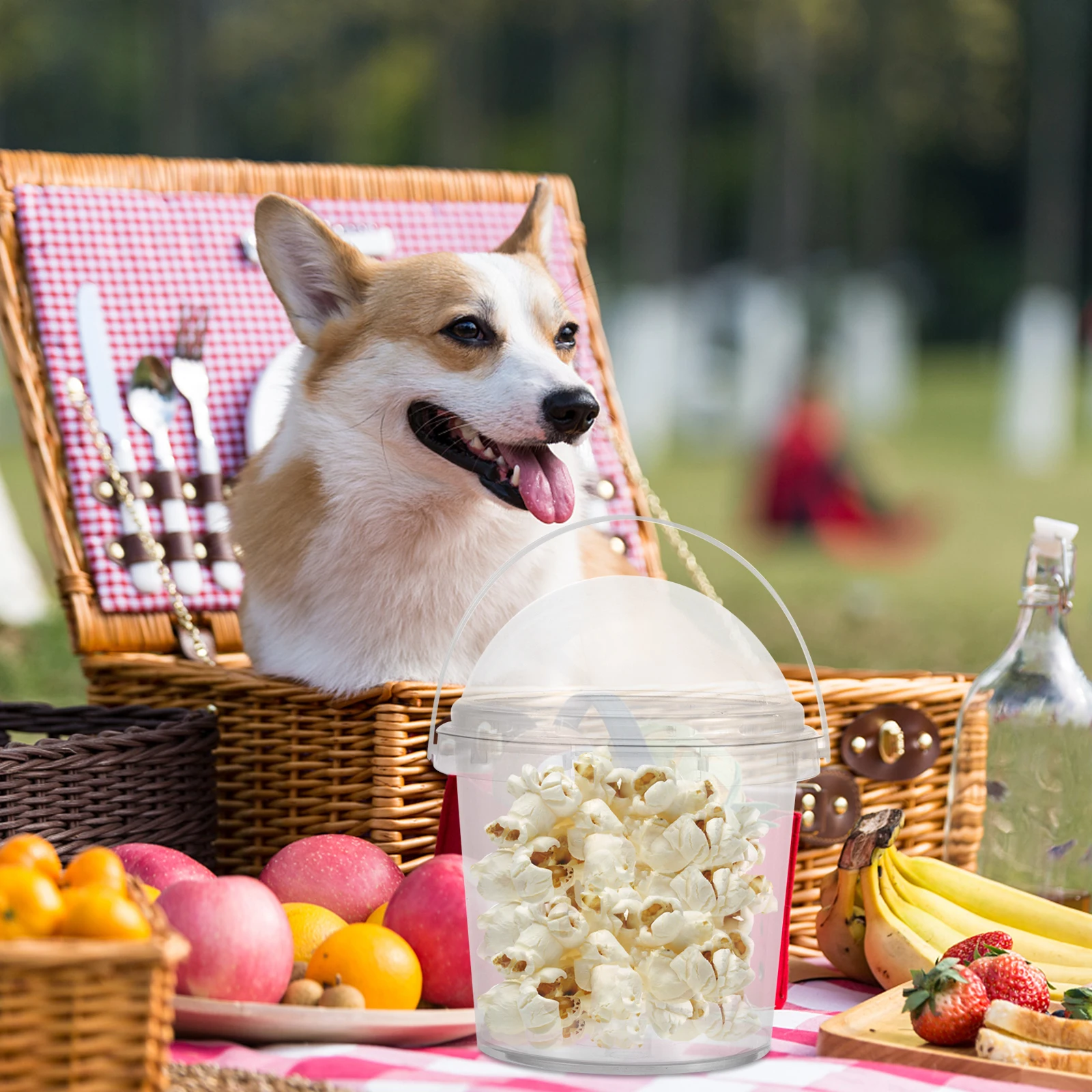 

5 Pcs Buckets with Lids Clear Rum Small Popcorn Plastic Transparent Snack Containers Food Storage Safe