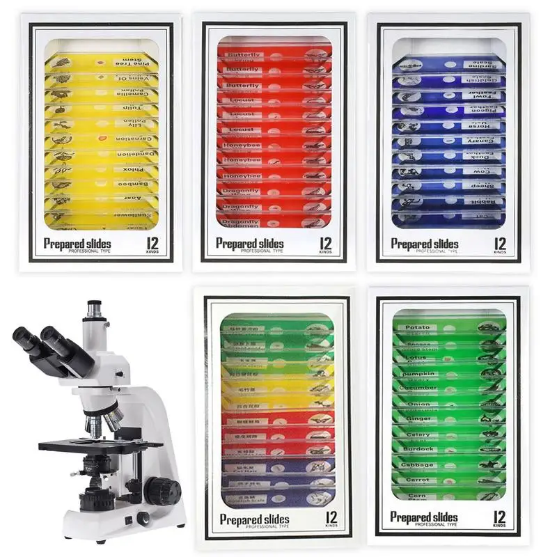 Escopo de bolso portátil com luz LED para crianças, brinquedos educativos científicos, mini portátil, 60 X-120X, 7-14 anos de idade