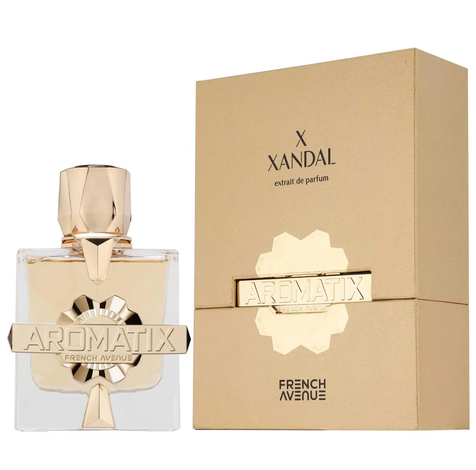 X Xandal Eau De Parfum, Oriental Floral Fragrance, 3.4 Fl Oz, Long Lasting Scent with Vanilla and Caramel Notes, Unisex Perfume
