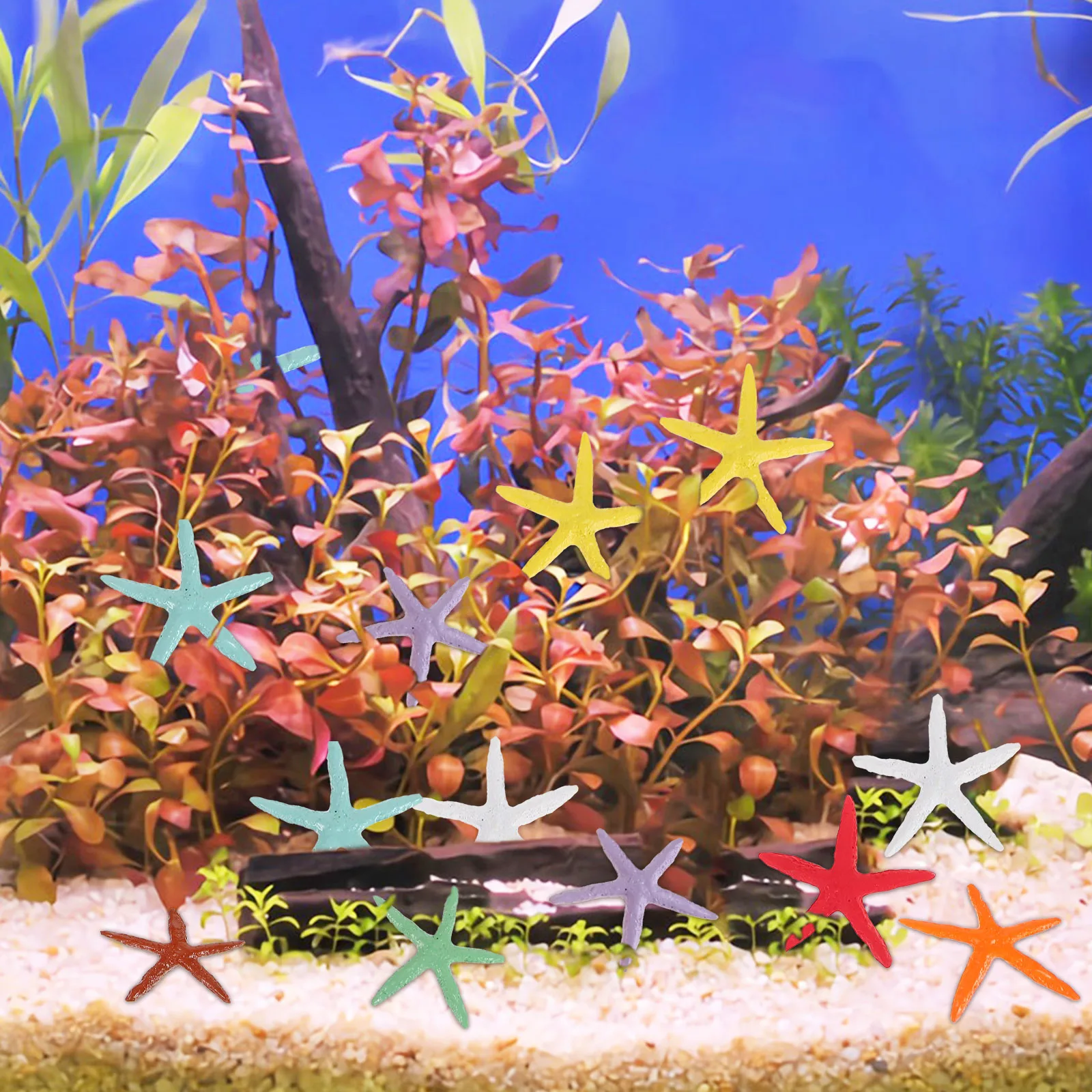 

24 Pcs Resin Tank naments Craft Decoration Aquarium Sea Stars L Realistic Seastars Fish Tank