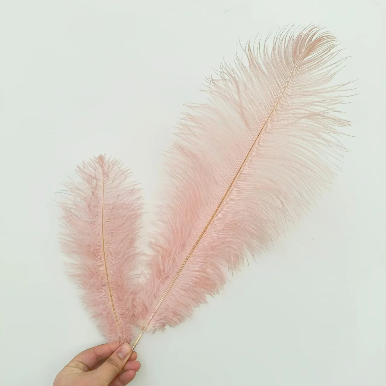 Leather Pink ostrich Feathers 25-30 cm 1000 PCS 45-50 cm 300 PCS