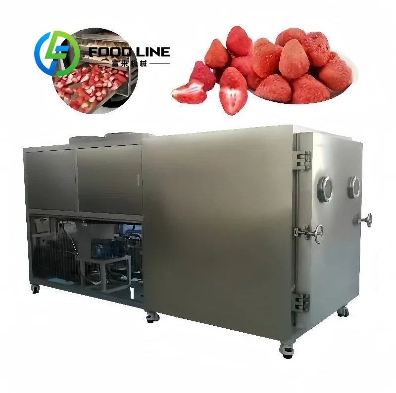 Food Freeze Drying Machine Digital Recording Function Stores Drying Parameters For Standardized Food Product Batch Production