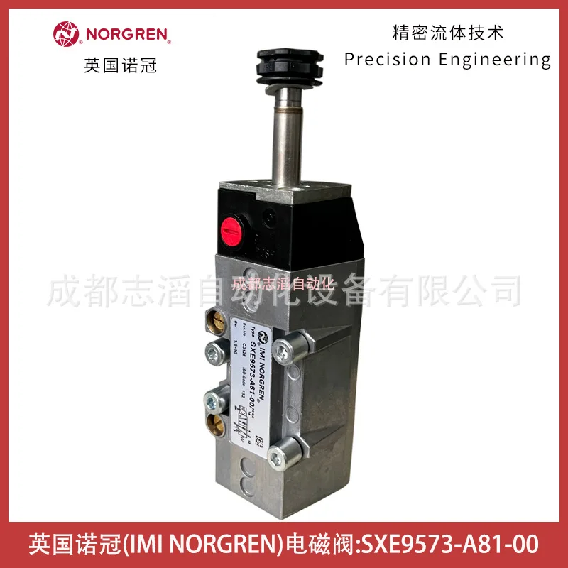 2025 SXE9573-A81-00… - image