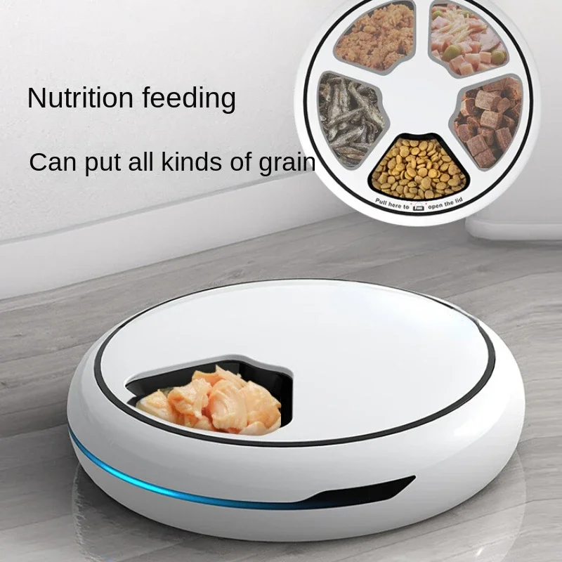 Cat Dog Puppy Timing Smart Food Basin