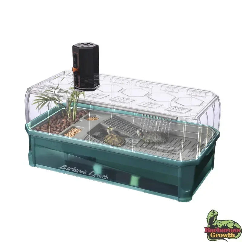 Imagem -03 - Arboreal Acrílico Lagarto Lamp Terrarium Breeding Reptile Cage Turtle Enclosure Terrarium Box 35x18cm