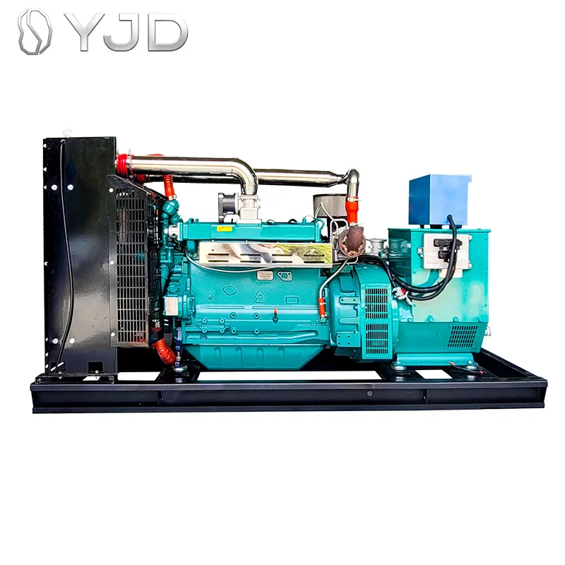 Factory Price Generator Natural Gas 250kw 300kva Gas Generator