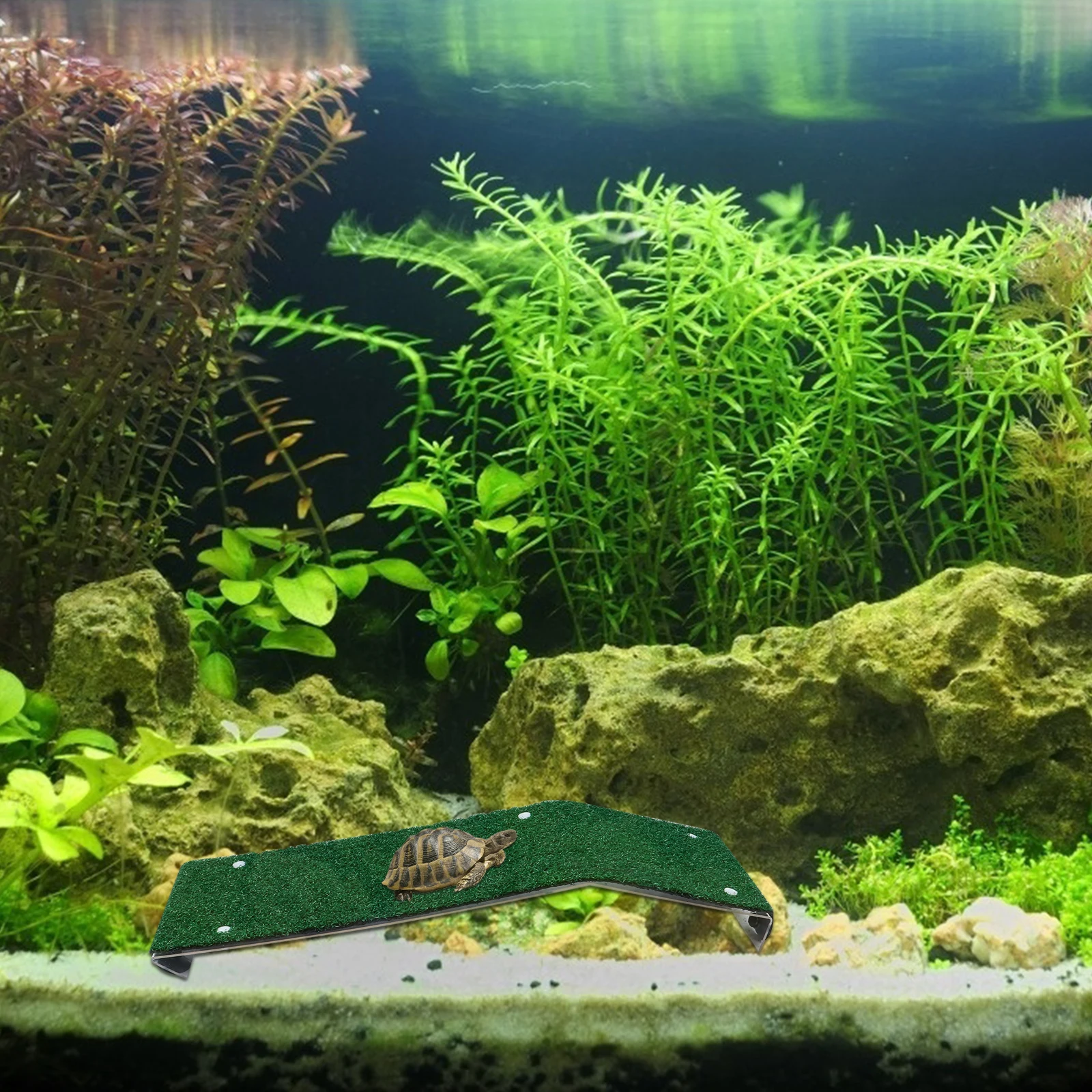 Tortoise Terrace Turtle Ladder Drying Platform Basking Simulation PP Material Strong Capacity Easy Install Fish Tank Decor Pet