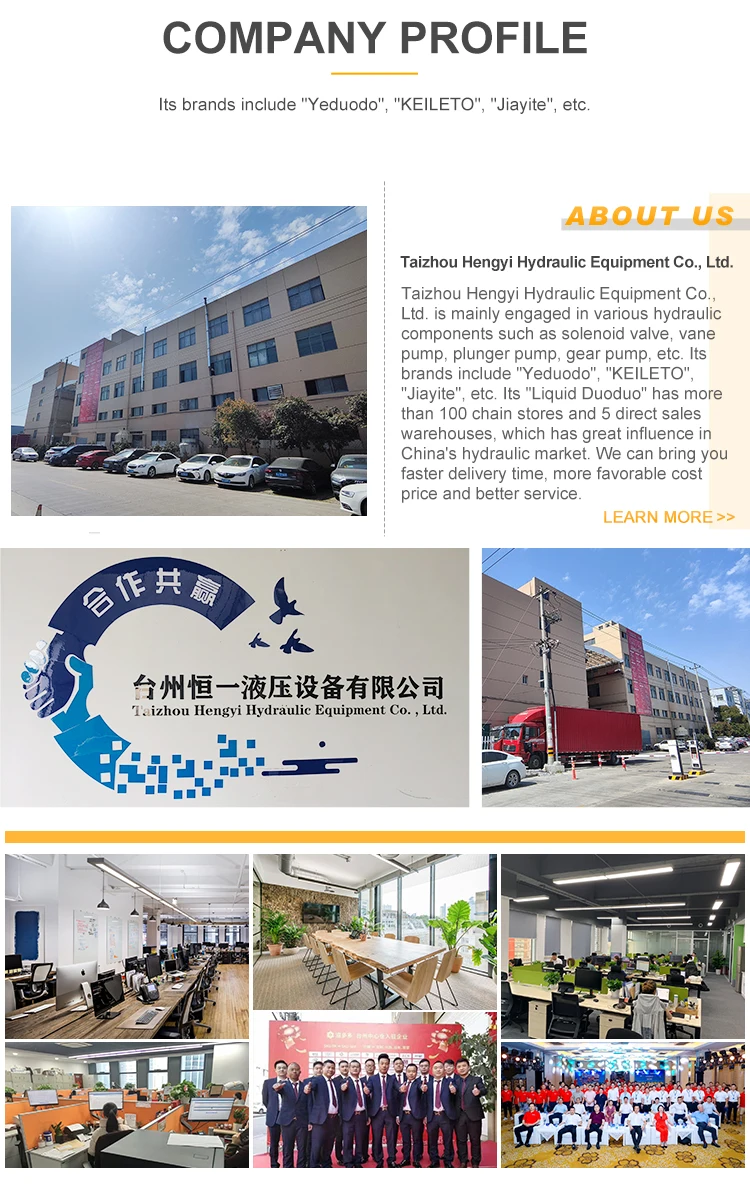 Shanghai Huadao Hydraulic  4WEH25E/D/G/J 4WEH32DE/J 4WEH16E/G/J 4WEH10D/E/G Electrohydraulic directional valve Electromagnetic d