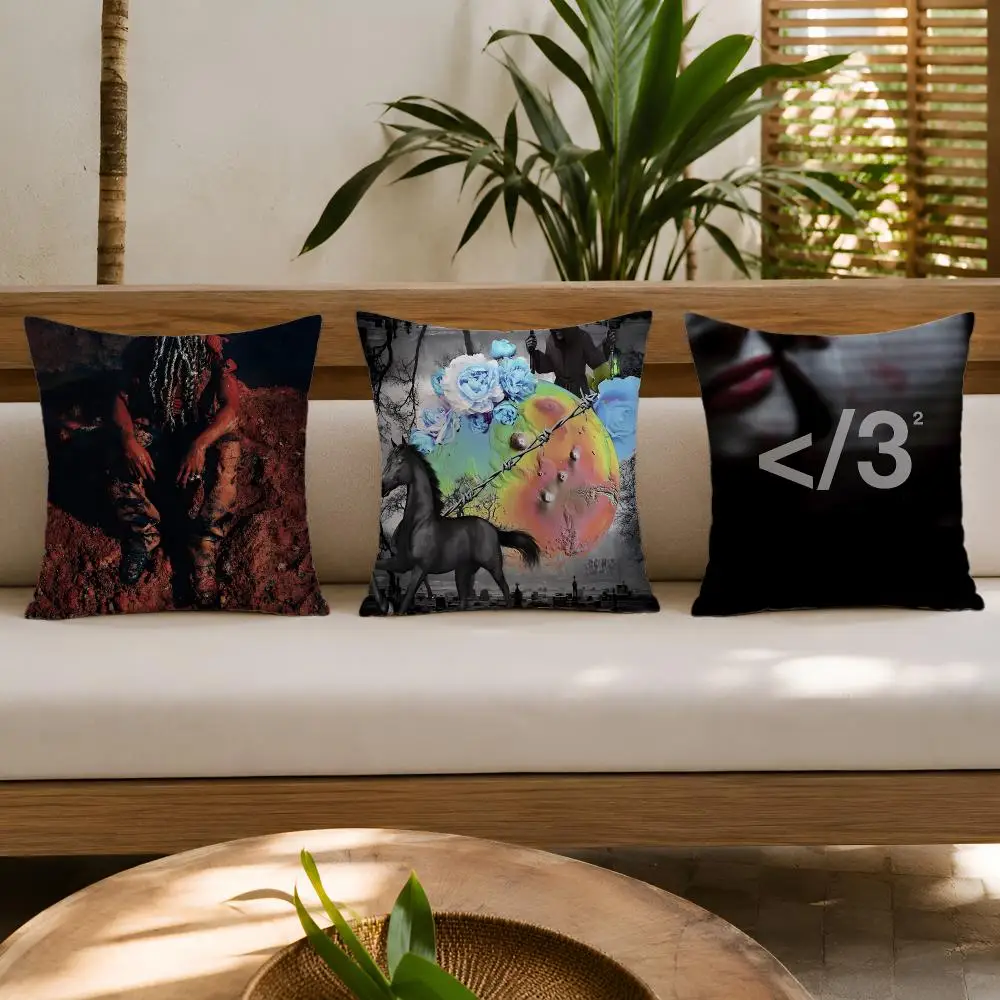 Rapper Singer D-Destroy Lonely Cushion Cover Double-Sided Plush Sofa Cushion Covers Organic Breathable Invisible Zipper