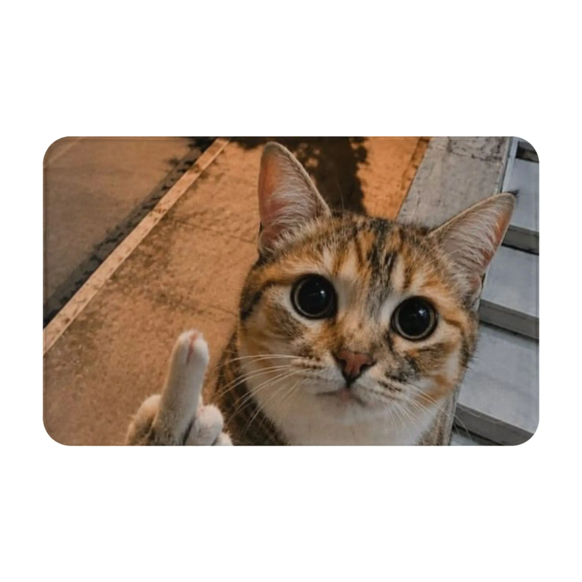 Tabby Cat Middle Finger Funny Meme  Doormat Bathroom Kitchen Mat  Absorbent Home Decoration