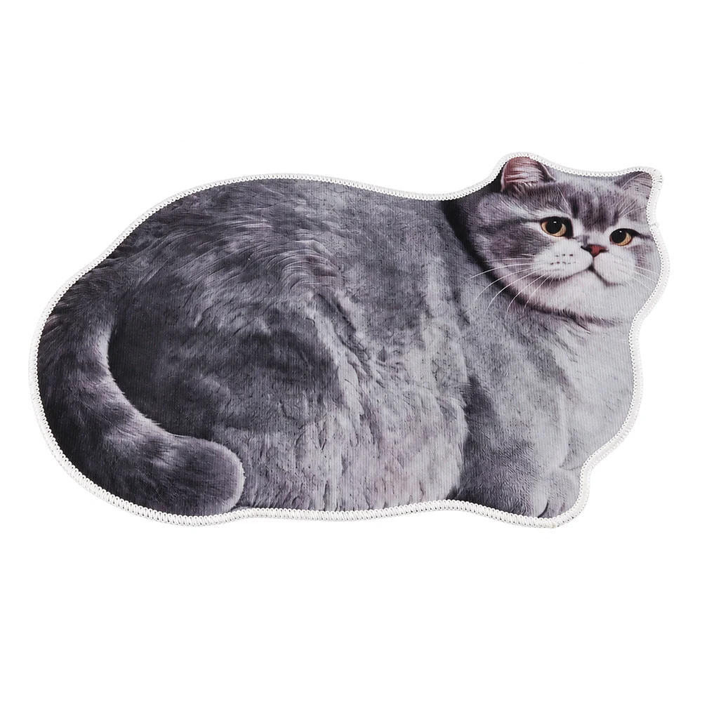 40*60cm Cute Cat Crystal Velvet Floor Mat Ginger Cat Non-slip Bathroom Carpet Water-absorbing Abrasion-resistant Floor Mat