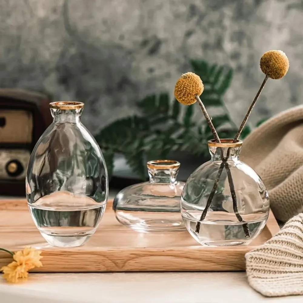 3PCS Nordic Style Transparent Glass Vase Transparent Water Nourishing Mini Vase Set Minimalist Small Plant Pots Office Desk
