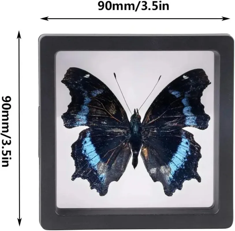 3D Packaging Case for Jewelry Storage