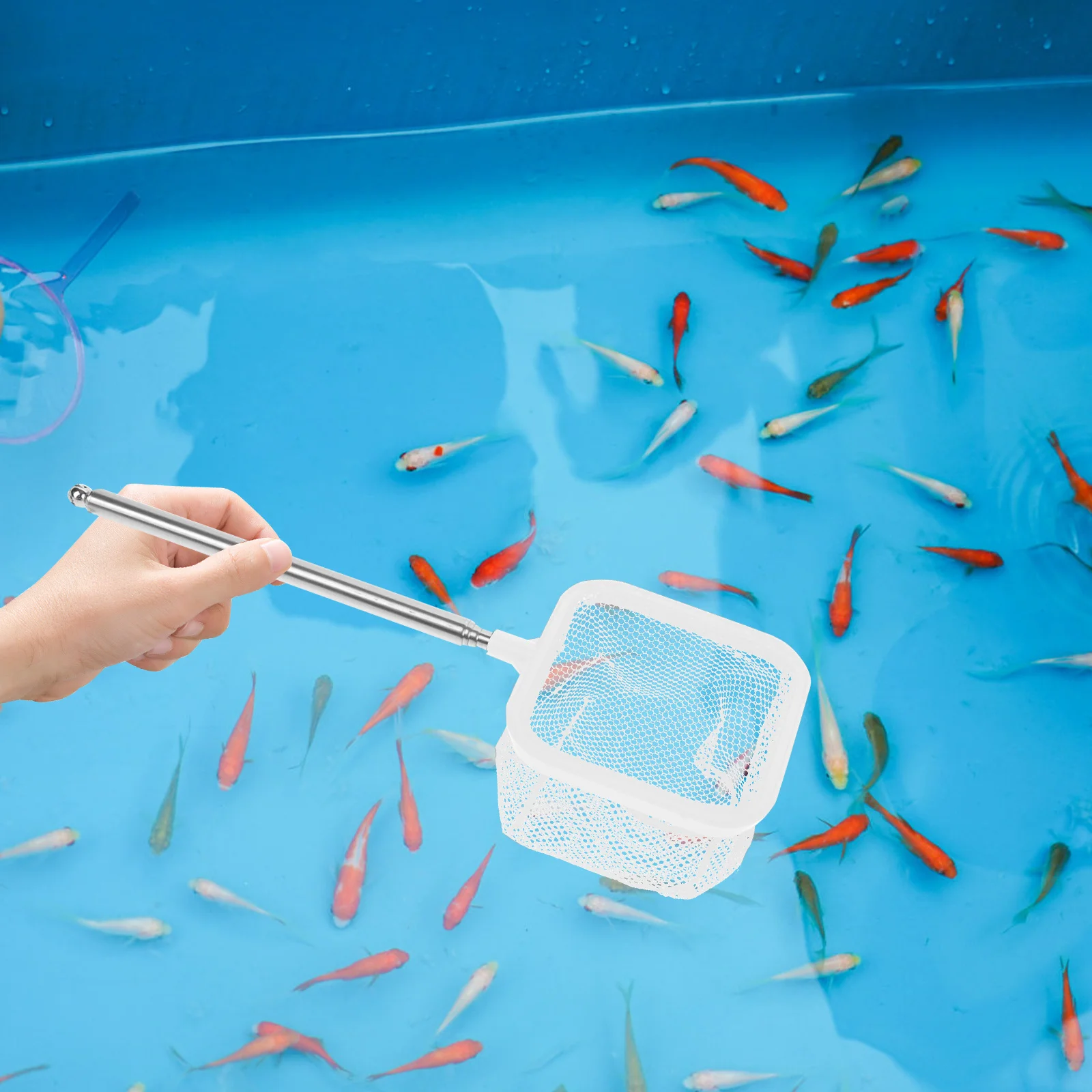 

Portable Telescopic Fishing Net Lightweight Retractable Landing Net Handheld Fishing Mesh Tool for Carp Trout and Pond Dipping