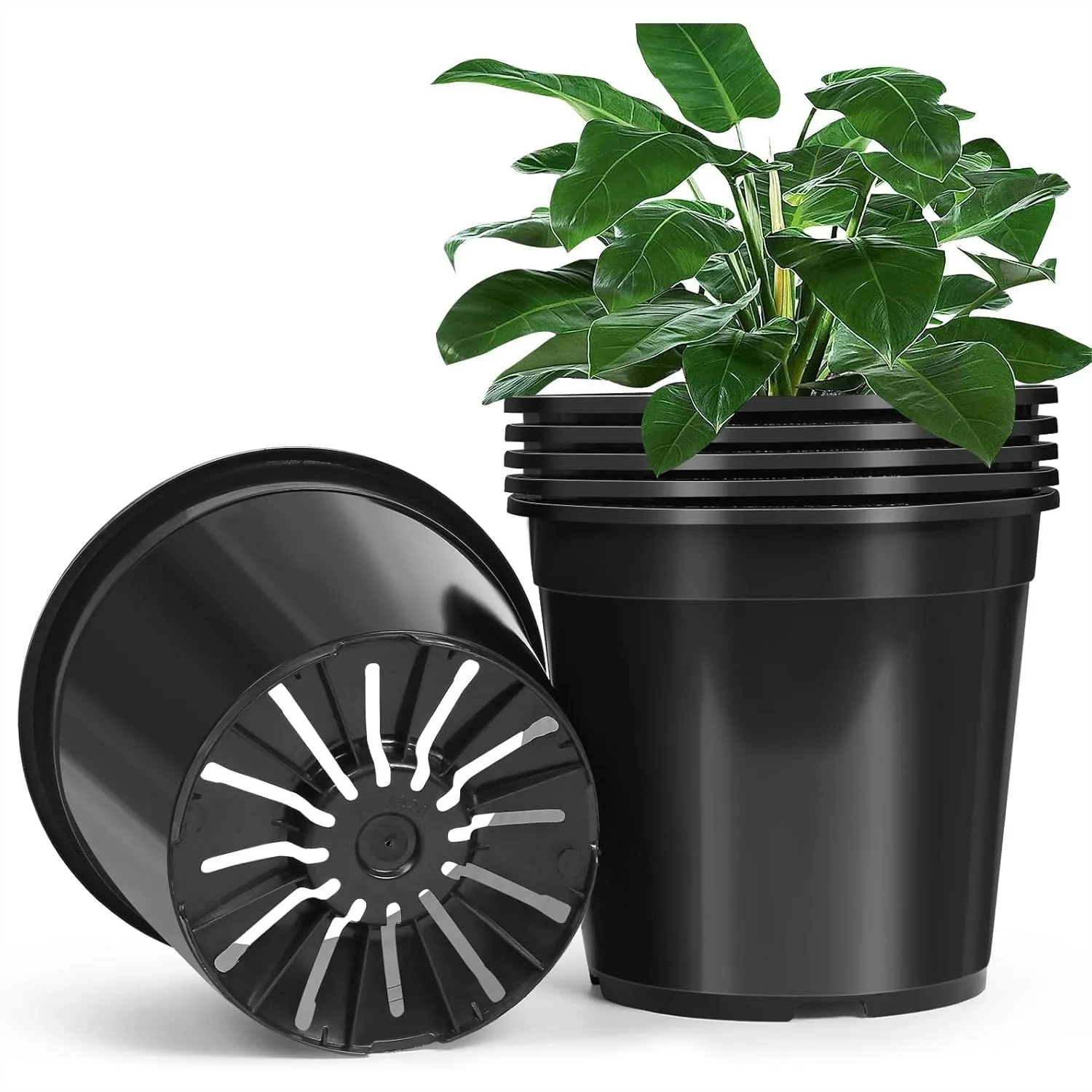 6 Pack 5 Gallon Plastic Pots for Plants with Drainage Holes, Sturdy Nursery Pots for Indoor Outdoor Garden, Flowers, Succulents