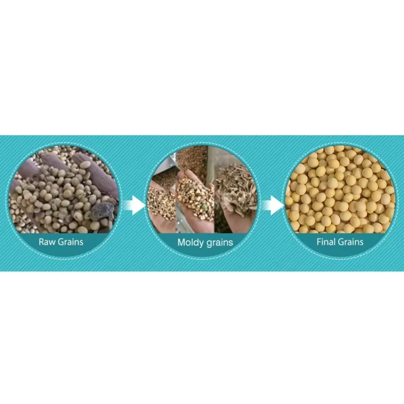 Big Capacity Grain Bean Sorting Machine Soybean Maize Wheat Sunflower Sesame Seed Cleaning and Grading Machine - view 4