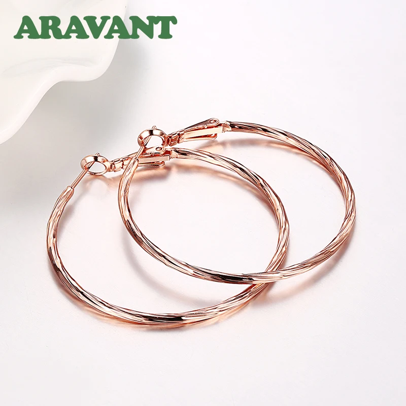 Aravant 925 Silver Rose Gold Hoop Earrings For Women Fashion Jewelry