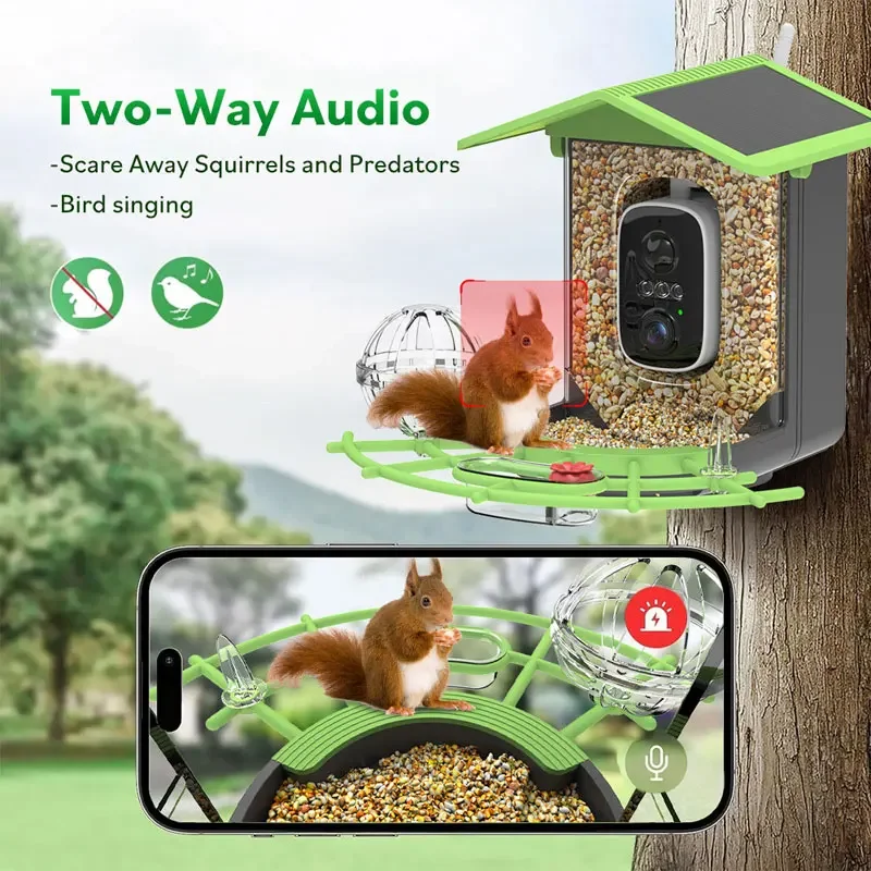 Bird feeder with camera - Smart camera with artificial intelligence to identify species, automatically record